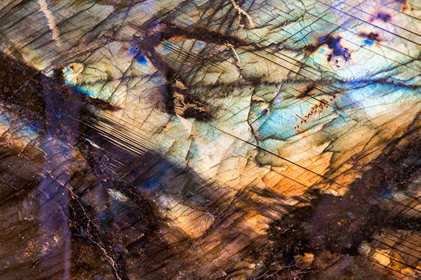 琵琶行 白居易解释